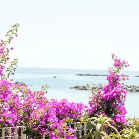 Narciso Centralissimo