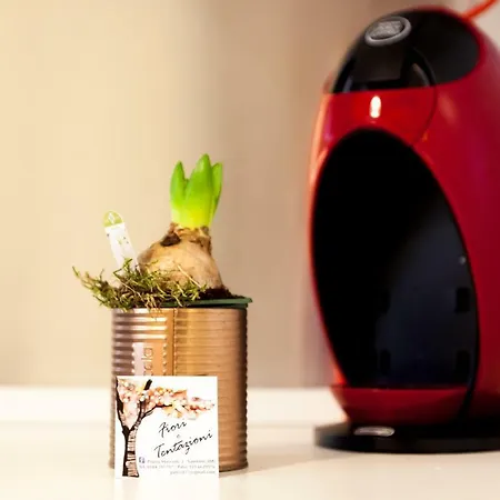 Narciso Centralissimo *