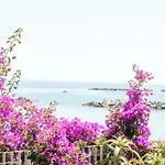 Narciso Centralissimo